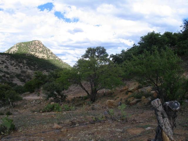 The closest spot - the confluence is over the hill on the right