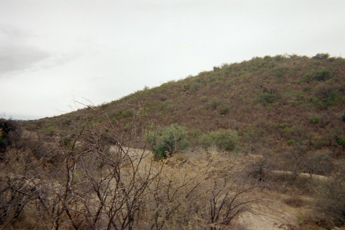 View South of the Confluence