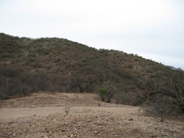 View West of the Confluence