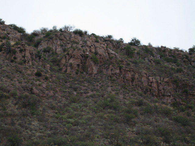 Some Rocks NE of the Confluence