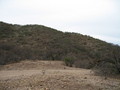 #3: View West of the Confluence