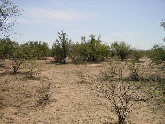 West