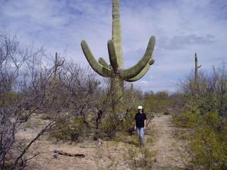 #1: Large Saguaro Cactus On The Way To the Confluence