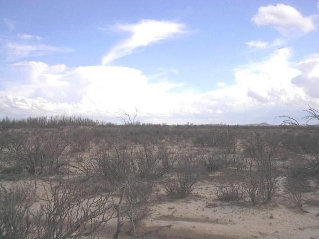 General view of the confluence area.