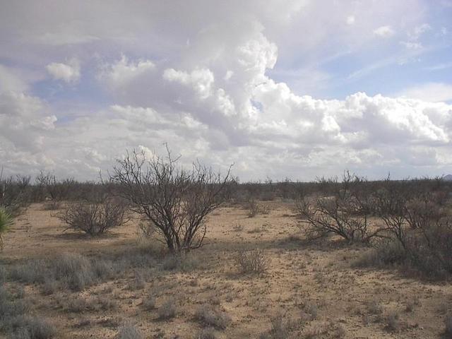 South view.