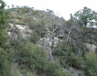 #1: Vista Norte