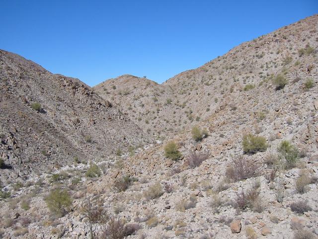 View North from the Confluence