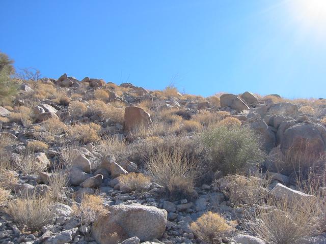 View South from the Confluence - UP Slope