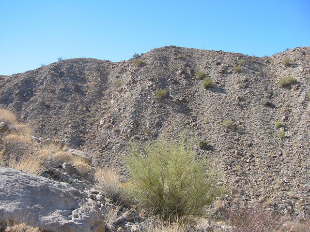 View West from the Confluence