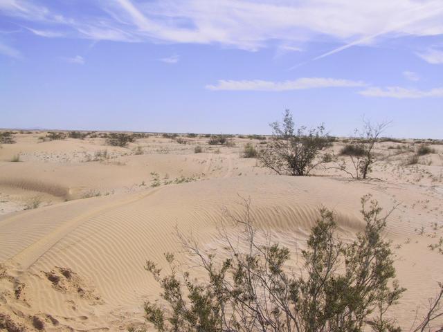 Looking South Toward the Confluence