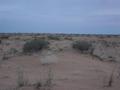 #4: From the confluence to the S