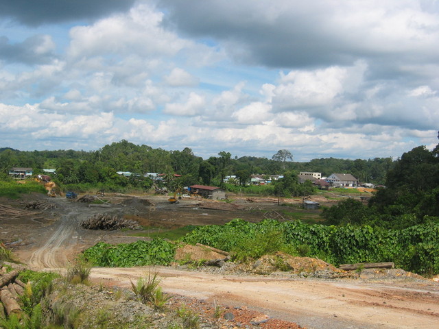 Logging activities in Machan