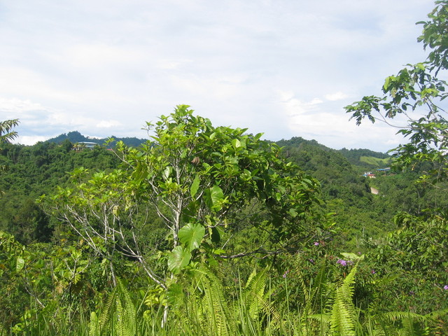 View 30m from the confluence