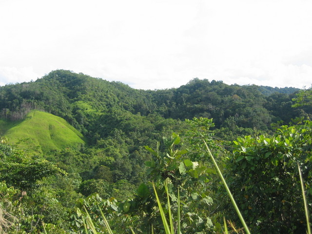 Confluence as seen from the road (500m distance)