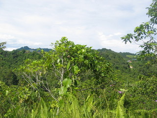 #1: View 30m from the confluence