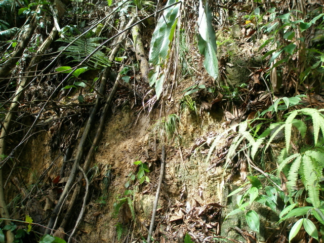 Looking north, this is the bank we had to slide down to get nearer the point