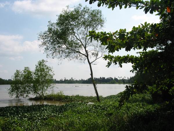 The mighty Perak River