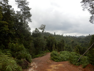 #1: The Confluence from 30 m distance