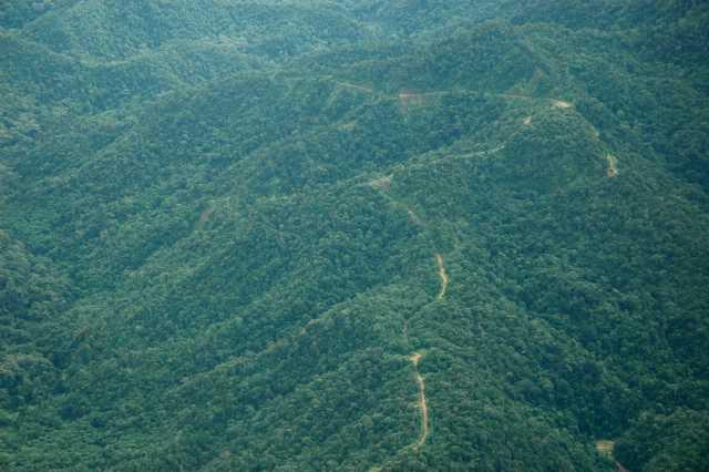 Aerial photo (from Twin Otter) showing old logging road.