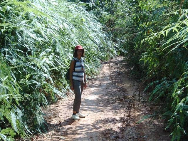 Hiking towards the confluence on logging tracks.