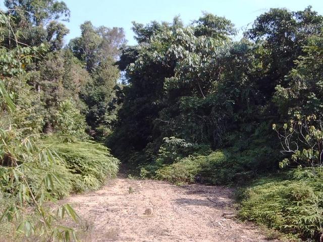 End of the road. From here it is still 1250m to the confluence.