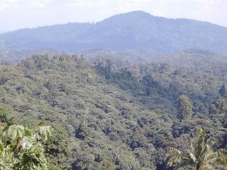 #1: A view of the area of the confluence 2km at 115 degree away.