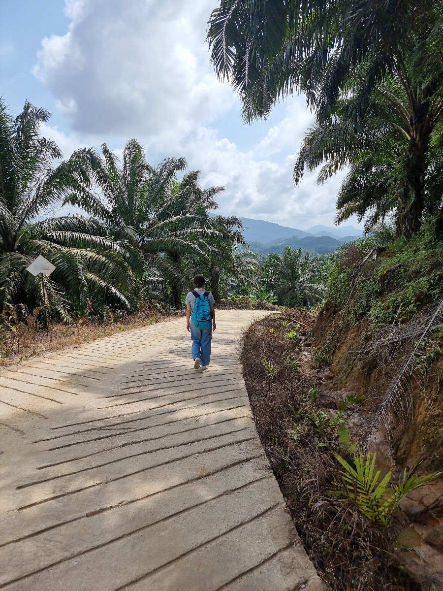 The peaceful road towards the confluence point.