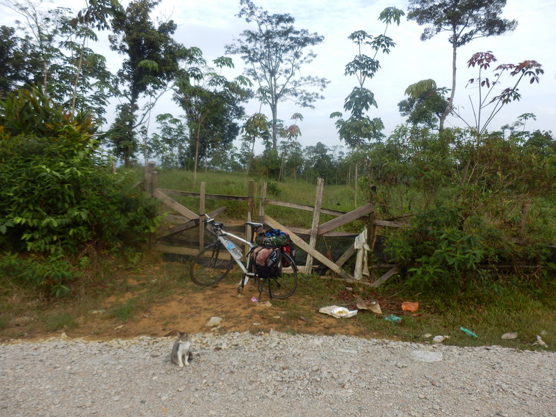 The Wooden Gate