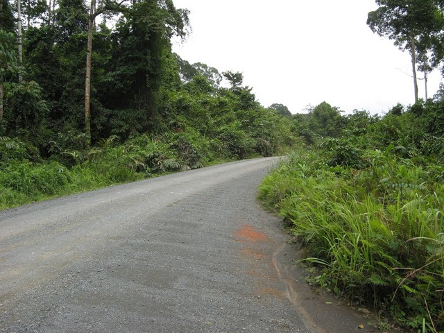 View facing east along the road.