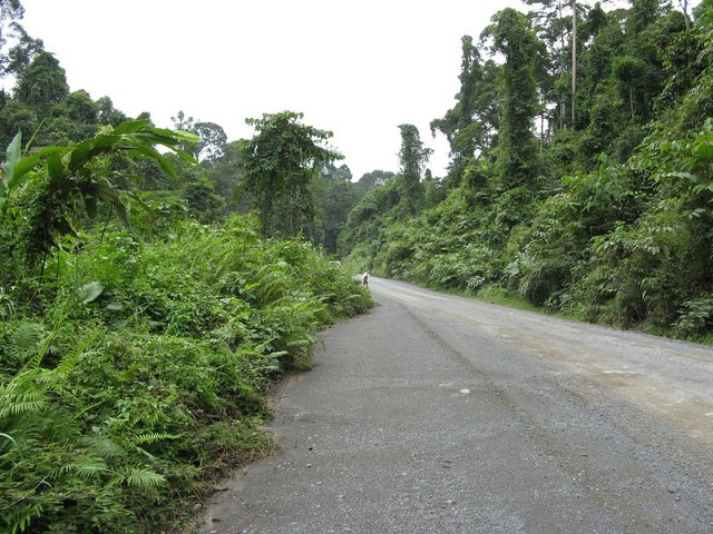 View facing west along the road.