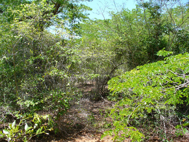 View from the Confluence to the South