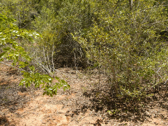 Close-up of the confluence point