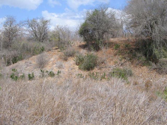 Looking towards the Confluence from about 100 m