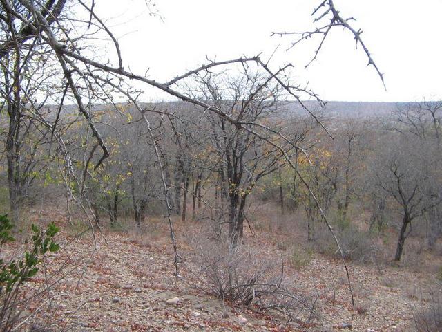 Looking north from the Confluence