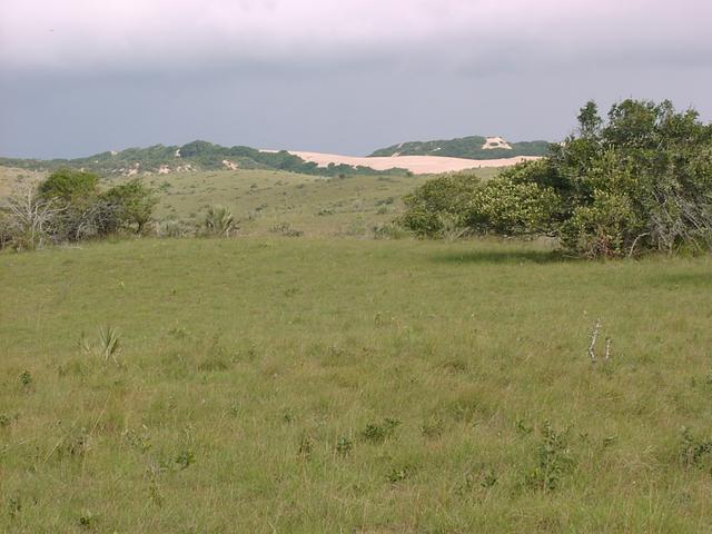 Coastal dunes to the South