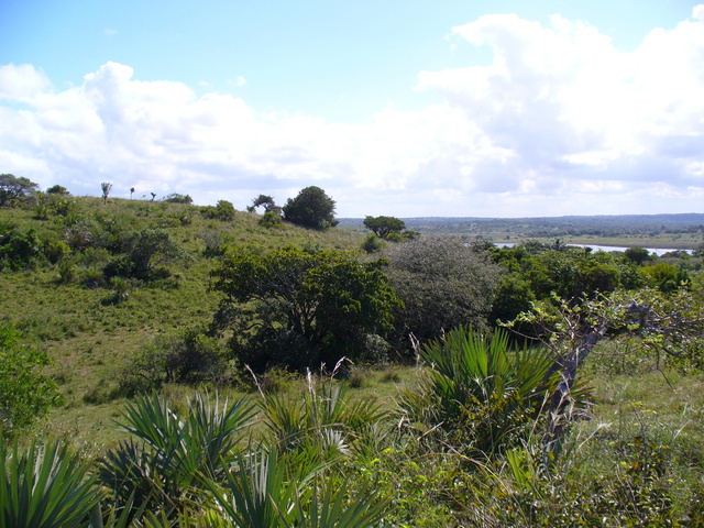View from the Confluence to the North