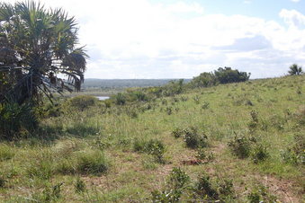 #1: View of the Confluence