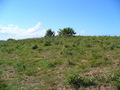 #3: View from the Confluence to the West