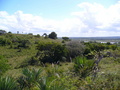 #4: View from the Confluence to the North