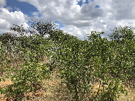#3: View to the West