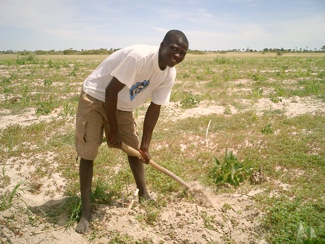 Joseph Kadhikwa working on field