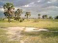 #8: Upcoming thunderstorm over palm savannah 900 m northeast of the Confluence