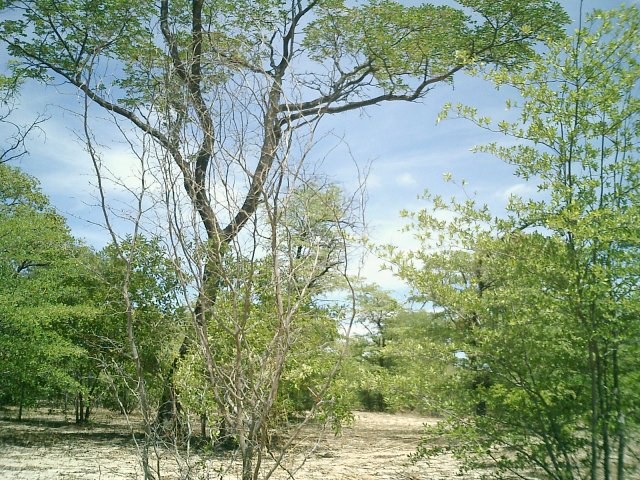 View East