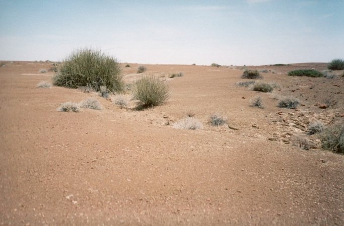 South view