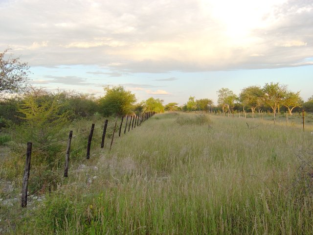 The view towards the East along the "cutline"