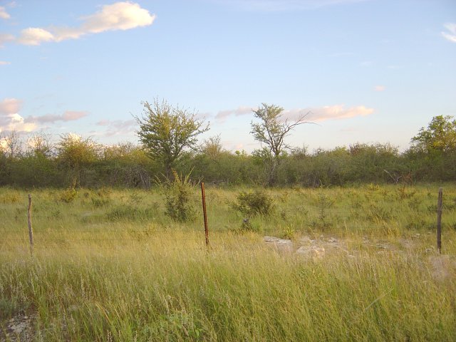 The view towards the South