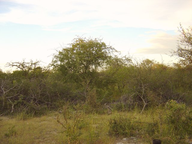 The view towards the North, the direction from which photo 1 was taken