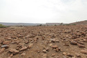 #5: East view