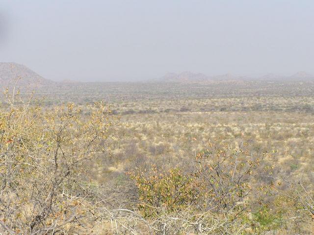 Looking South across the plains