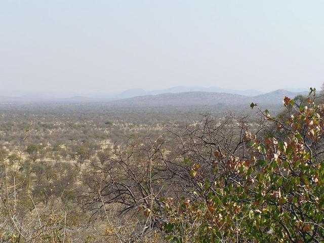 Looking West with the road far in the background